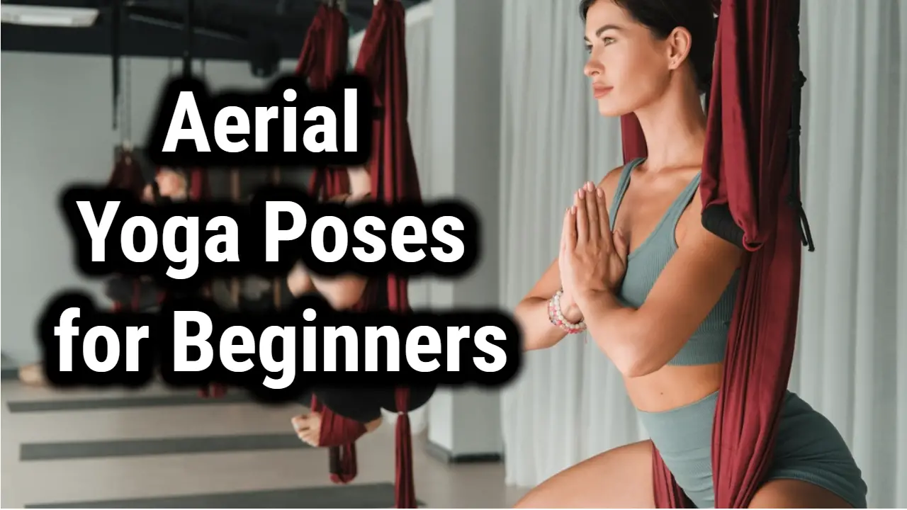 Best Aerial Yoga Poses for Beginners