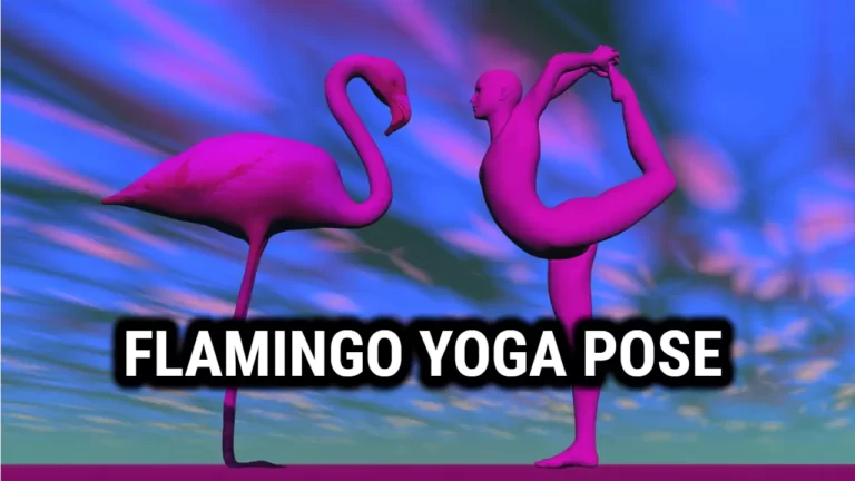 Flamingo Yoga Pose – A Lesser Known Variation of Marichyasana